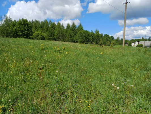 Продам участок 302 соток, ИЖС, Короцко п, 0 км от города