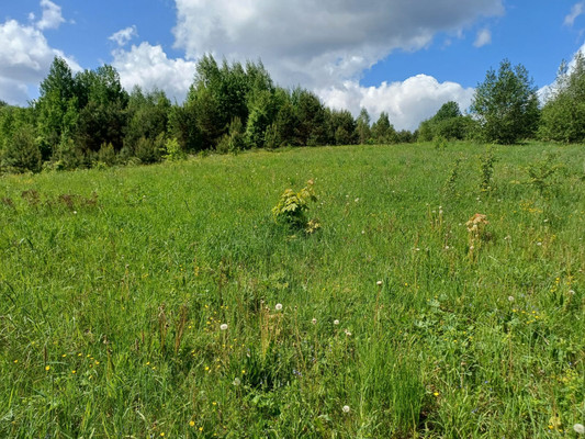 Продам участок 302 соток, ИЖС, Короцко п, 0 км от города