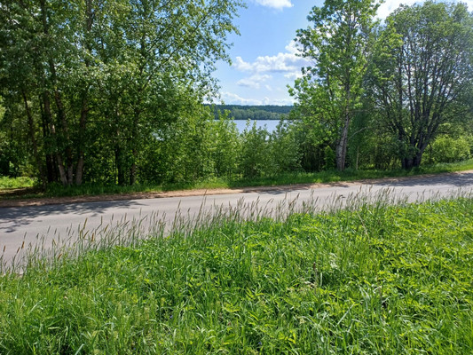 Продам участок 302 соток, ИЖС, Короцко п, 0 км от города