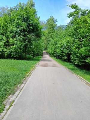 Продам однокомнатную (1-комн.) квартиру, Новомихайловское ш, 1к1, Сосенское п