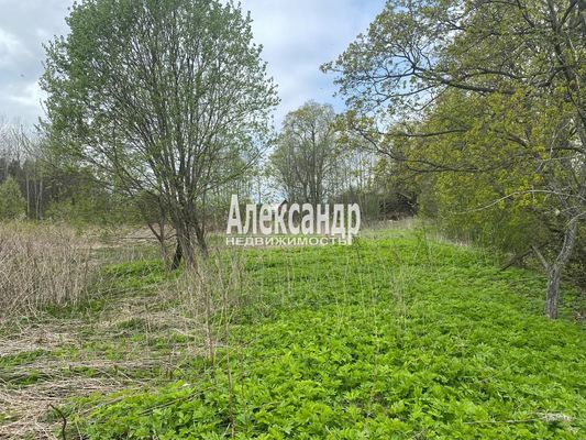 Продам участок 10 соток, Садоводство, Выборгское ш, Лесогорский гп, 90 км от города