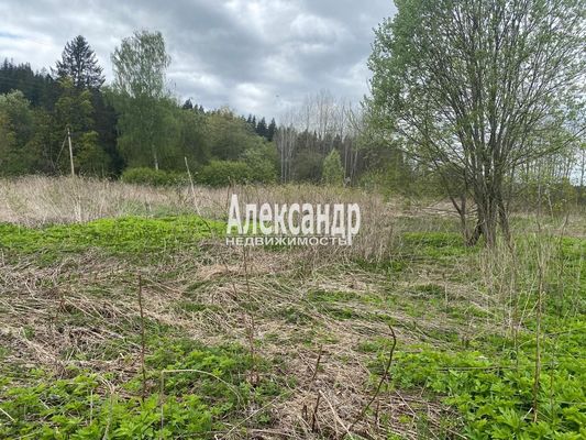 Продам участок 10 соток, Садоводство, Выборгское ш, Лесогорский гп, 90 км от города