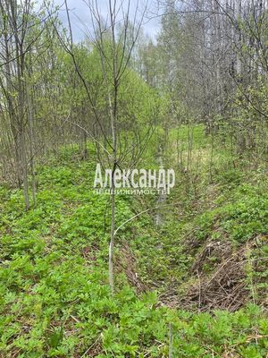 Продам дом, Никифоровское п, 60 км от города