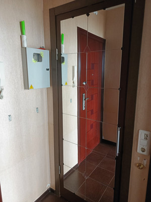 Продам однокомнатную (1-комн.) квартиру, Будапештская ул, 48А, Санкт-Петербург г