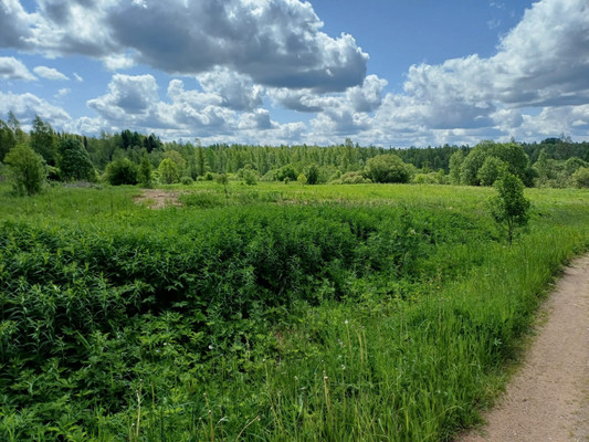 Продам участок 50 соток, ИЖС, Глебово д, 0 км от города