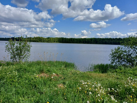 Продам участок 50 соток, ИЖС, Глебово д, 0 км от города