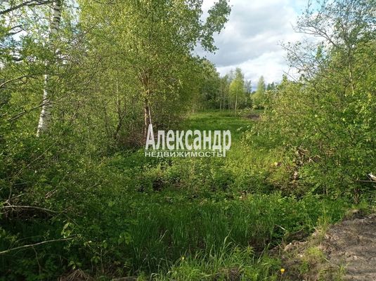 Продам участок 16 соток, ИЖС, Ромашки п, 120 км от города