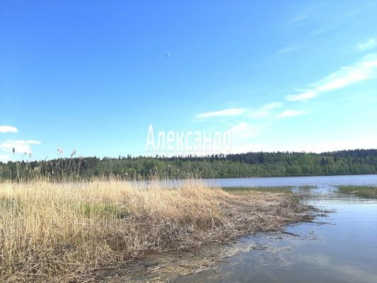 Продам участок 373 соток, Фермерское хоз., Куликово п, 180 км от города