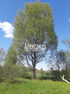 Продам участок 373 соток, Фермерское хоз., Куликово п, 180 км от города