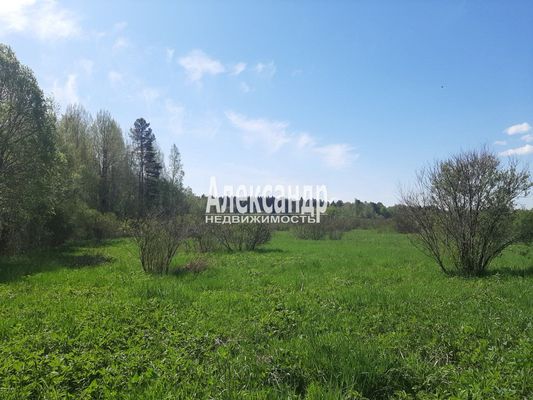 Продам участок 373 соток, Фермерское хоз., Куликово п, 180 км от города