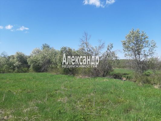 Продам участок 373 соток, Фермерское хоз., Куликово п, 180 км от города