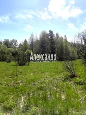 Продам участок 373 соток, Фермерское хоз., Куликово п, 180 км от города