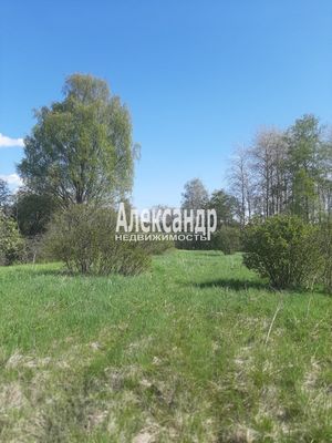Продам участок 373 соток, Фермерское хоз., Куликово п, 180 км от города