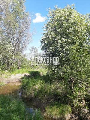 Продам участок 373 соток, Фермерское хоз., Куликово п, 180 км от города