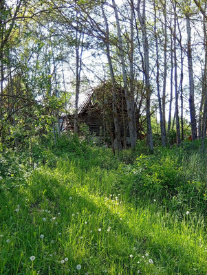 Продам участок 6 соток, Фермерское хоз., Булгаково д, 0 км от города