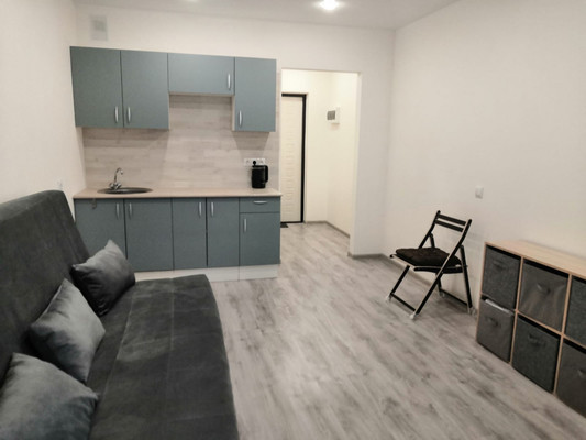 Продам однокомнатную (1-комн.) квартиру, Дорога Жизни ш, 7к1, Всеволожск г