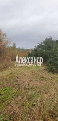 Продам участок 24 соток, ИЖС, Сазанова ул, Оредеж п, 150 км от города