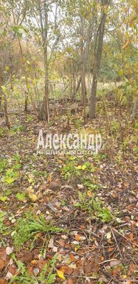 Продам участок 24 соток, ИЖС, Сазанова ул, Оредеж п, 150 км от города