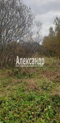 Продам участок 24 соток, ИЖС, Сазанова ул, Оредеж п, 150 км от города