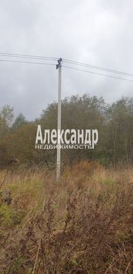 Продам участок 24 соток, ИЖС, Сазанова ул, Оредеж п, 150 км от города