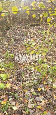 Продам участок 24 соток, ИЖС, Сазанова ул, Оредеж п, 150 км от города