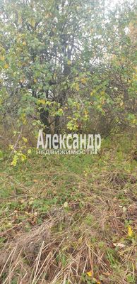 Продам участок 24 соток, ИЖС, Сазанова ул, Оредеж п, 150 км от города
