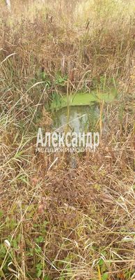 Продам участок 24 соток, ИЖС, Сазанова ул, Оредеж п, 150 км от города