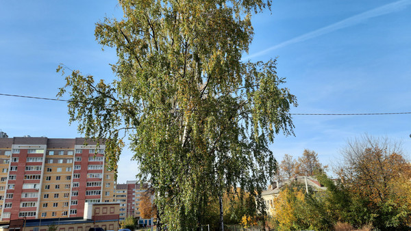 Продам двухкомнатную (2-комн.) квартиру, Димитрова ул, 75, Йошкар-Ола г