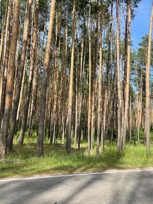 Продам участок 15 соток, Фермерское хоз., Бояркино д, 0 км от города