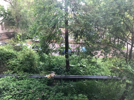 Продам двухкомнатную (2-комн.) квартиру, Солнечный пер, 1, Гатчина г