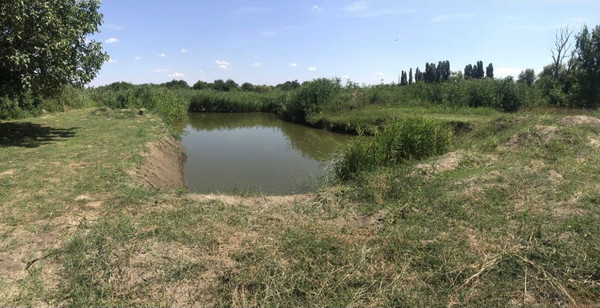 Продам дом, Выгонная ул, Новотитаровская ст-ца, 0 км от города