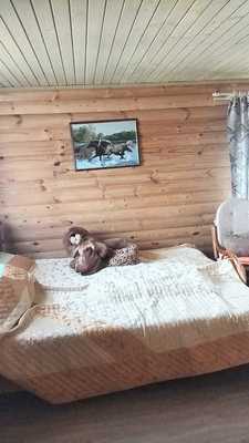 Продам дом в поселке СНТ Нагуша, Нагуша тер. СНТ, 60, Герасимиха д, 36 км от города