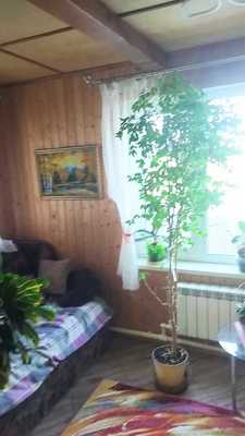 Продам дом в поселке СНТ Нагуша, Нагуша тер. СНТ, 60, Герасимиха д, 36 км от города