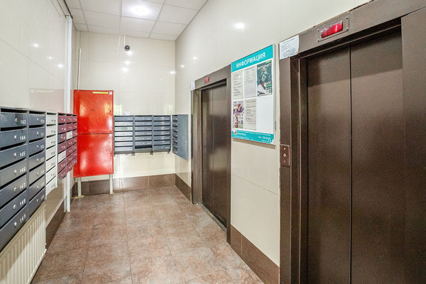 Продам однокомнатную (1-комн.) квартиру, Богатырский пр-кт, 25Ак1, Санкт-Петербург г