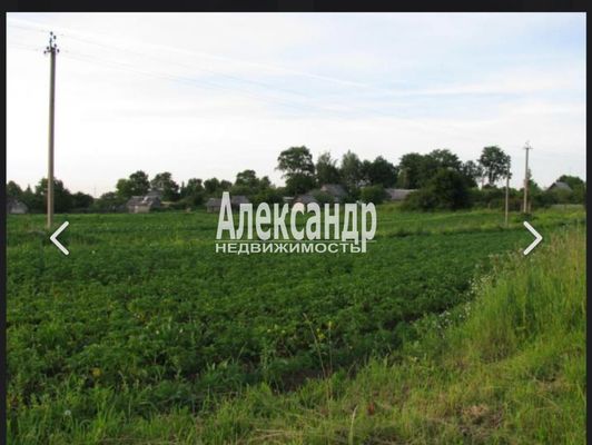 Продам участок 481 соток, Фермерское хоз., Вяз д, 195 км от города