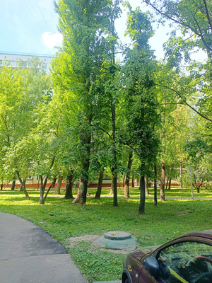 Продам многокомнатную квартиру, Россошанская ул, 13к3, Москва г