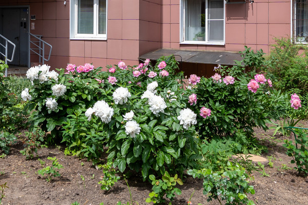 Продам двухкомнатную (2-комн.) квартиру, Демин луг ул, 2, Балашиха г
