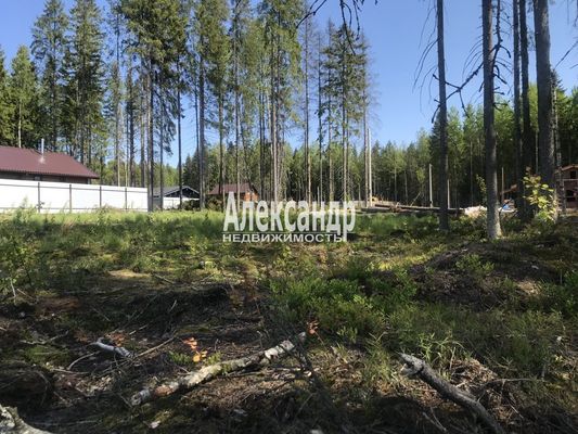 Продам участок 10 соток, СНТ, поселок Медное озеро-3, Сертолово-2 массив, 16 км от города