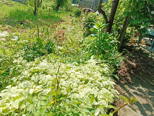 Продам дом, Кимовская ул, 91, Вперед с, 0 км от города