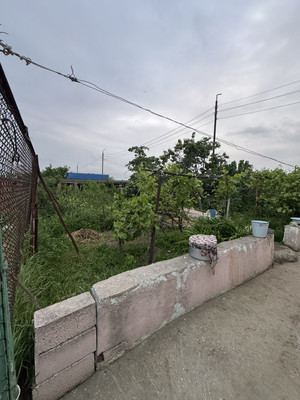 Продам участок 50 соток, ИЖС, Новокули с, 0 км от города