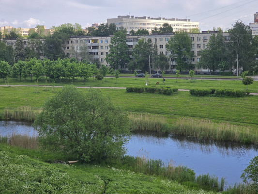 Продам комнату в 12-комн. квартире, Здоровцева ул, 10А, Санкт-Петербург г