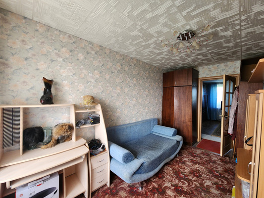Продам трехкомнатную (3-комн.) квартиру, 23, Бегуницы д
