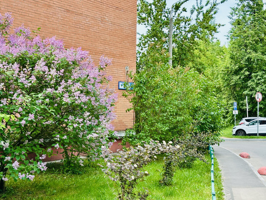 Продам двухкомнатную (2-комн.) квартиру, Школьная ул, 1, Ангелово с