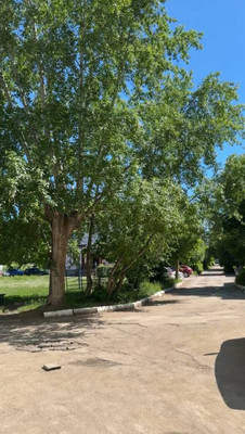 Продам однокомнатную (1-комн.) квартиру, Губкина ул, 1, Октябрьский г