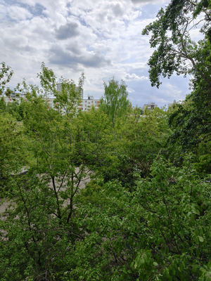 Продам однокомнатную (1-комн.) квартиру, Конёнкова ул, 6А, Москва г