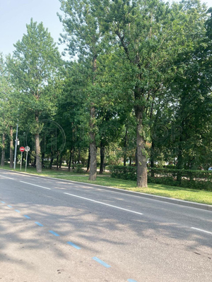 Продам однокомнатную (1-комн.) квартиру, Сиреневый б-р, 15, Москва г