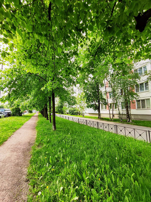 Продам однокомнатную (1-комн.) квартиру, Пражская ул, 7к1, Санкт-Петербург г
