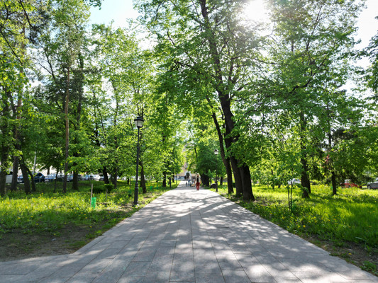 Продам таунхаус, Еремеева (Центр р-н) ул, 42, Петрозаводск г, 0 км от города