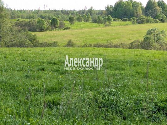 Продам участок 802,3 соток, Фермерское хоз., Нива п, 190 км от города