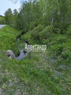 Продам участок 802,3 соток, Фермерское хоз., Нива п, 190 км от города